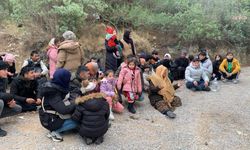 Seferihisar'da 37 kaçak göçmen yakalandı... Göçmenleri taşıdığını itiraf eden kamyonet sürücüsü tutuklandı