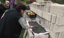 Sıcak bölgelerin meyvesi Menengiç Yozgat'ta da doğal olarak yetişiyor