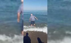 Sinop'ta kıyıya vuran yunus vatandaşın dikkati sayesinde kurtuldu