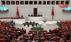 TBMM Genel Kurulu... AK Partili Özlem Zengin'den 'fon krizi' çağrısı: Listenin tamamının açıklanmasını istiyorum