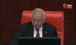 TBMM Genel Kurulu... İYİ Partili Usta'dan Cumhurbaşkanı Erdoğan ve Cevdet Yılmaz'a çağrı: 'Tehditlere boyun eğmeyin'
