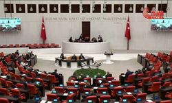 TBMM Genel Kurulu... Sezai Temelli'den 'fon krizi' tepkisi: 'AK Parti sermayenin kimsesidir, onun dışında kimseye sahip çıkmışlığını bugüne kadar görmedik'