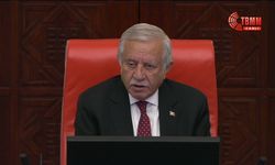 TBMM Genel Kurulu'nda 'fon' gündemi... DEM Partili Koçyiğit, 'fon krizi' için Meclis'te araştırma komisyonu kurulması çağrısında bulundu