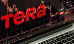 Tera yöneticileri Erdin Özel ile Emir Münir Sarpyener tutuklandı