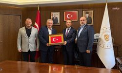 TES-İŞ heyetinden Enerji ve Tabii Kaynaklar Bakan Yardımcısı Tancan'a ziyaret