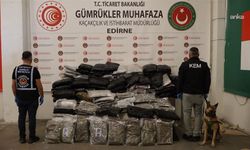 Ticaret Bakanlığı, Sarp, İpsala ve Kapıkule'de uyuşturucuya geçit vermedi