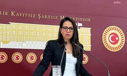 TİP'li Kadıgil, ANKA'nın İskenderun Devlet Hastanesi haberini TBMM gündemine taşıdı