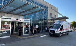 Koca şehirde yaklaşık 3 bin kişi hastanelik oldu