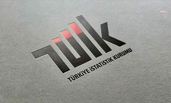 TÜİK: Ar-Ge harcamaları 2025'te 980,4 milyar liraya yükseldi