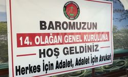 Tunceli Barosu'nun yeni başkanı Dilan Torun oldu
