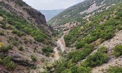 Tunceli'deki Dere Ali Mezrası ilk kez elektriğe kavuştu
