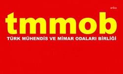 Türk Mühendis ve Mimar Odaları Birliği: Gazetecilik suç değildir, İsmail Arı derhal serbest bırakılmalıdır
