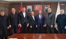 Türkiye Maden İşçileri Sendikası, İmbat işçilerinin sorunlarını Ankara'ya taşıdı