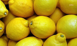 TZOB: Ekim ayında limon üreticide 3,90 liraya, markette 42,87 liraya satıldı