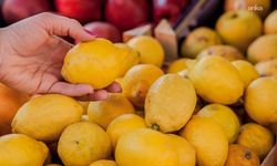 TZOB: Geçen ay limonun üretici ile market arasındaki fiyat farkı yüzde 633 oldu