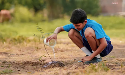 UNESCO: 'COP31'de İklim Zirvesi'nin merkezine eğitim konulacak'