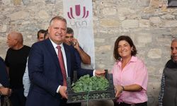 Urla Belediyesi'nden üreticiye 'fide, tohum, gübre ve eğitim' desteği