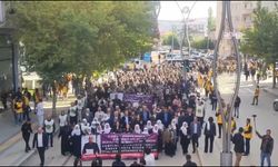 Van'da 'Abdullah Öcalan'a Özgürlük Yürüyüşü' yapıldı