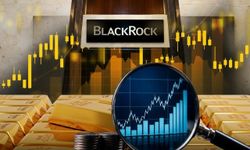 Dünya devi BlackRock Türkiye hisselerini sattı