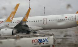 İstanbul'da kuş sürüsüne çarpan Pegasus uçağı kanadı hasar aldı: Acil iniş yaptı!