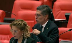 Yeni Partili Halıcı: 'Çiftçimiz ürettikçe zarar ediyor'