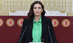 YENİ Partili Rızvanoğlu, Kapadokya'daki peribacalarının denetlenip denetlenmediğini sordu