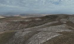 Yozgat'ta 70'e yakın yılkı atı için koruma mesaisi