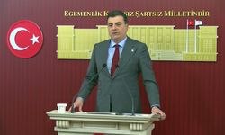 Zeynel Emre: Fon krizi için oluşturulan kurul gösteriyor ki, kriz en az siyasi zararla atlatılmaya çalışılıyor
