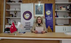 Ziraat Mühendisleri Odası Samsun Şube Başkanı Bayzat: 'TMO, üreticiyi zarar ettirmeyecek çeltik taban fiyatını açıklamalı'