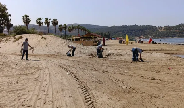 Efes Selçuk’ta bayram sonrası temizlik seferberliği