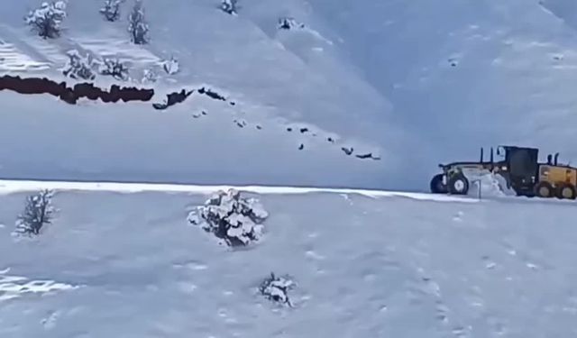 Elazığ'da kar nedeniyle kapanan 18 köy yolunun ulaşıma açılması için çalışmalar sürüyor