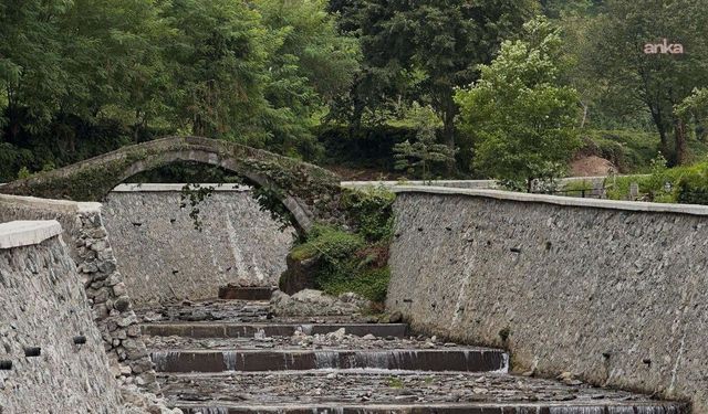 KTÜ Öğretim Üyesi Doç. Dr. Oğuz Kurdoğlu: 'Milli parklarda yapılacak sözde yatırımlar doğayı ve koruma olgusunu yok eden faaliyetlerdir'