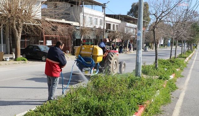 Menderes'te ot ilaçlama çalışmaları başladı
