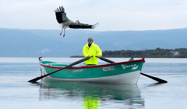 Yaren leylek 15. kez Adem Amca'nın kayığına kondu