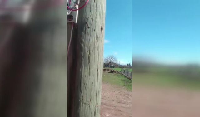 Dicle Elektrik, 20 metrelik gizli düzeneği ortaya çıkardı