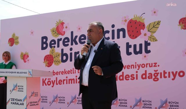 Adana Büyükşehir Belediyesi, Pozantı Kamışlı'da 900 bin çilek fidesi daha dağıttı