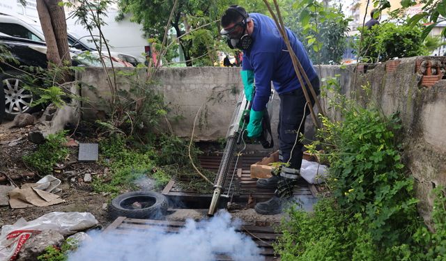 Antalya Büyükşehir Belediyesi'nden sinek üreme alanlarında yoğun çalışma