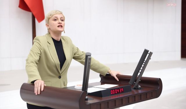 DEM Parti'li Koca, gazeteci İsmail Arı'nın mesajını paylaştı: 'İddianamemi hazırlayın. Anayasa'ya ve hukuka uyun'