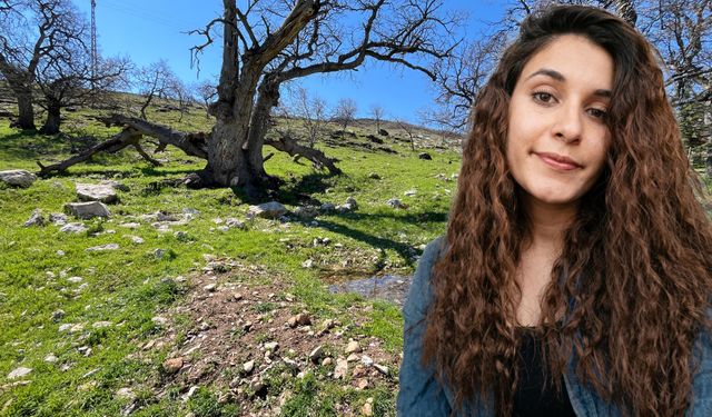 Gülistan Doku soruşturması için 5 ayrı ekip kuruldu, aramalar nokta atışı olarak yapılıyor