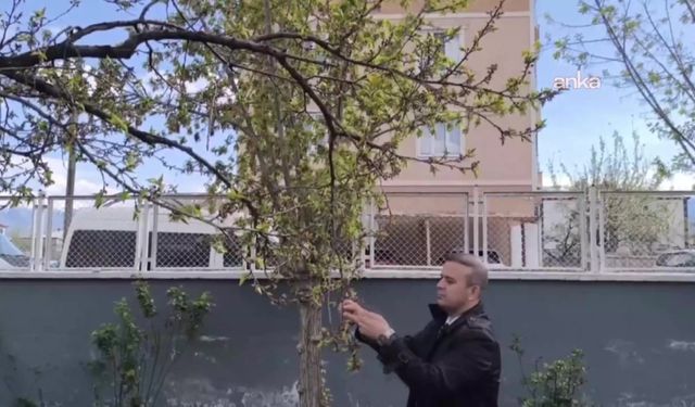 Iğdır İl Tarım ve Orman Müdürü Ahmet Tingiş'ten 'zirai don' açıklaması: Üreticilerimizin müdürlüklerimize gerekli müracaatları yapmaları önemli