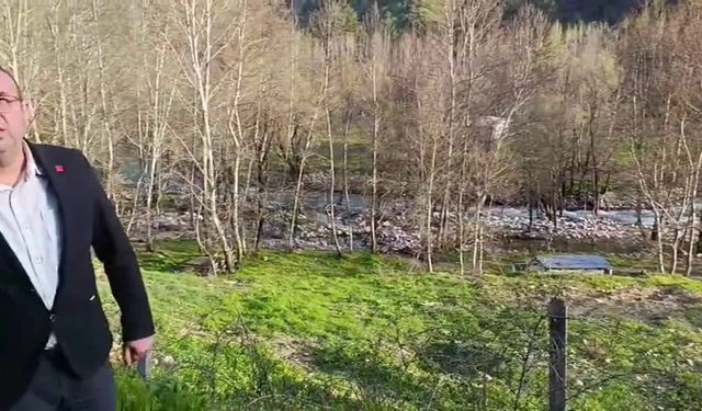 Kahramanmaraş Fırnız Çayı'nda yıkım ve ağaç kesimine tepki... CHP İl Başkanı Ateş: 'Dar gelirlinin nefes aldığı alan yok ediliyor'