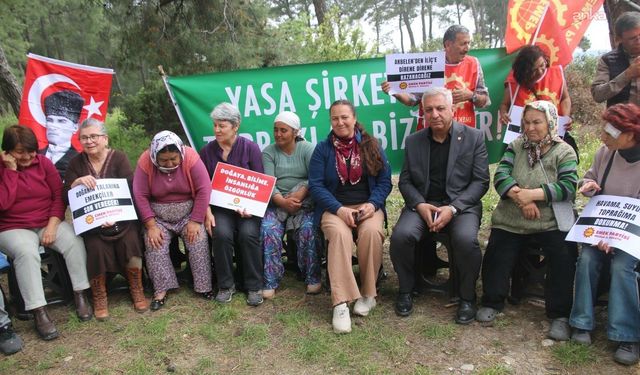 Seyit Aslan'dan Akbelen açıklaması: Esra Işık derhal serbest bırakılmalı
