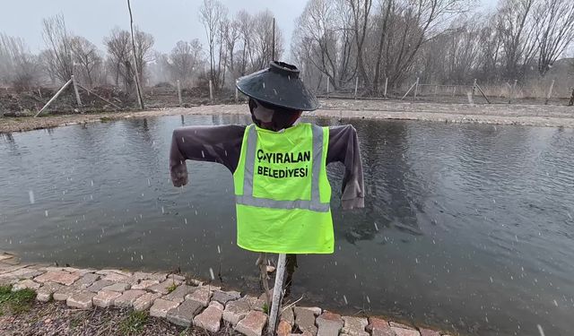 Yozgat'ın Çayıralan ilçesindeki alabalık tesisi yeniden üretime başlatıldı... Başkan Kaygısız: 'Talebe yetiştiremiyoruz'