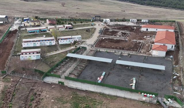 Yozgat'ta 'Evcil Köy' bünyesinde kurulan mama tesisi üretime başladı