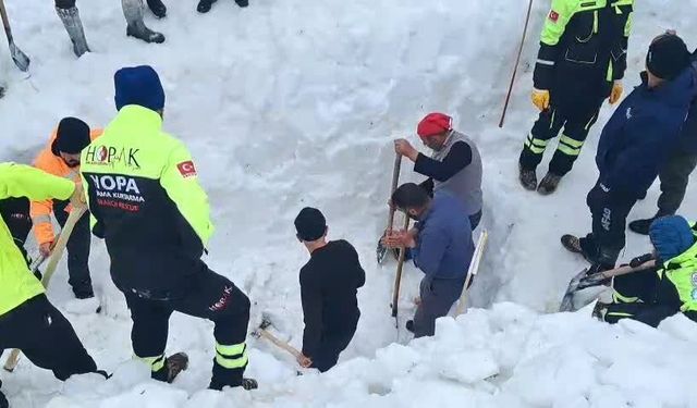Artvin'de 31 Aralık'ta çığ altında kalan çoban Bülent Gezer'i arama çalışmaları devam ediyor