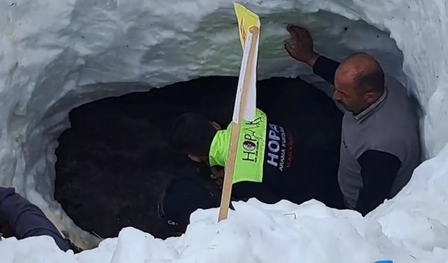 Artvin'de 31 Aralık'ta çığ altında kalan çoban Bülent Gezer'i arama çalışmalarına ara verildi