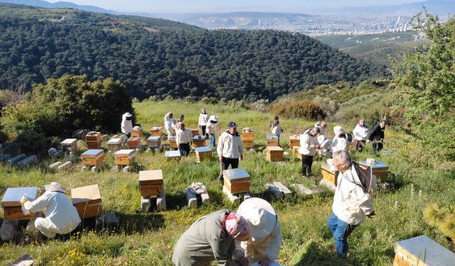 Bornova'da arıcılığa güçlü destek