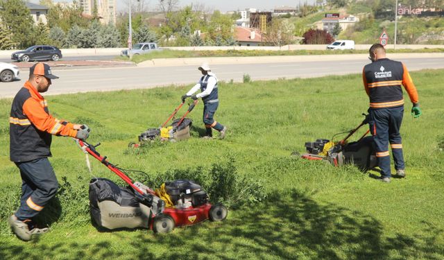 Çankaya Belediyesi'nden parklarda çim biçme çalışması 