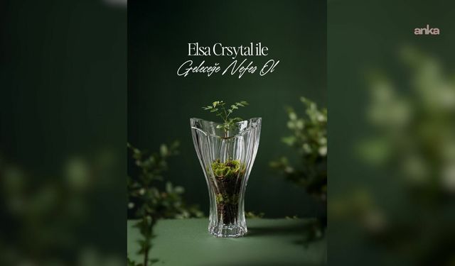 Elsa Crystal'dan 'Geleceğe Nefes' projesi: İlk adım 10 bin fidanla atıldı