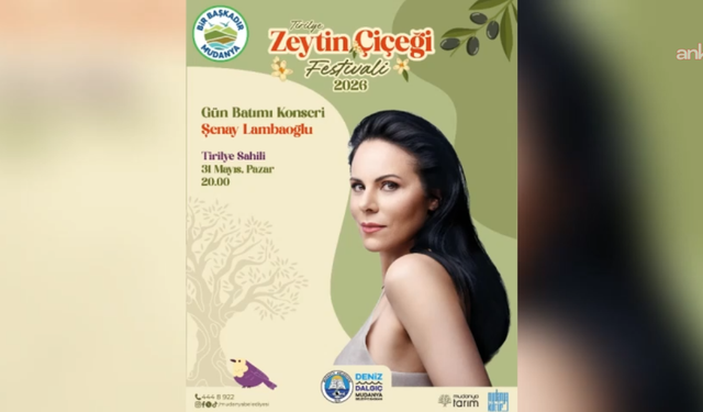 Mudanya'da Tirilye Zeytin Çiçeği Festivali başlıyor